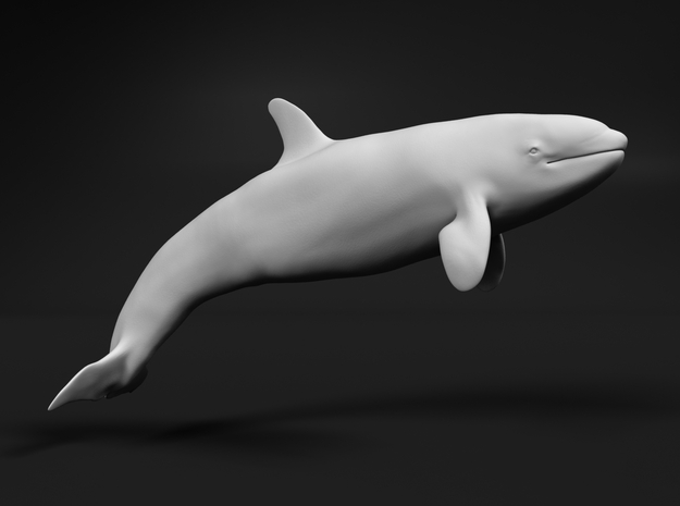 Killer Whale 1:76 Calf 2 in White Natural Versatile Plastic