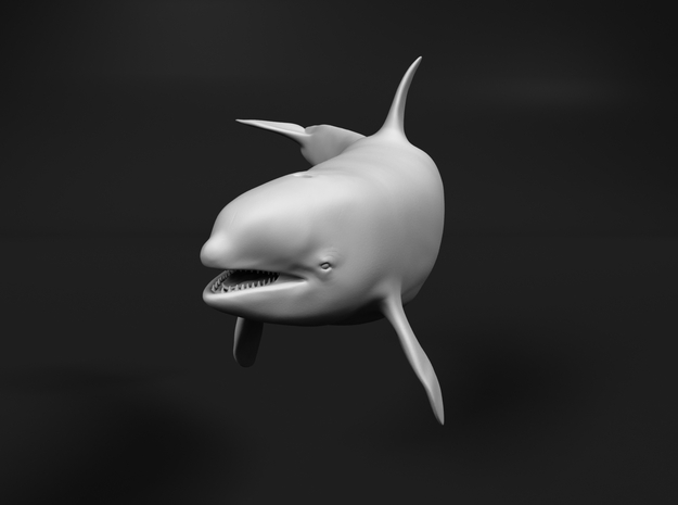 Killer Whale 1:76 Female with mouth open 2 in White Natural Versatile Plastic