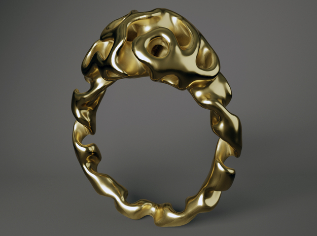 Ring  Reaction Diffusion   Size 54 in Polished Brass