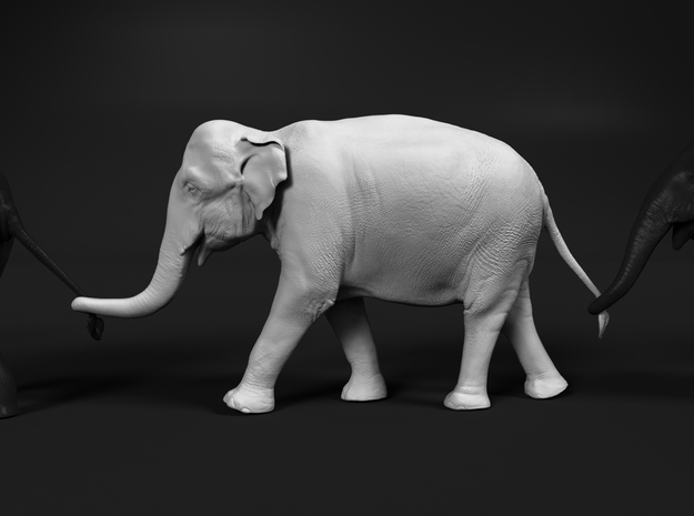 Indian Elephant 1:48 Female walking in a line 3 in White Natural Versatile Plastic