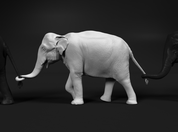 Indian Elephant 1:48 Female walking in a line 2 in White Natural Versatile Plastic
