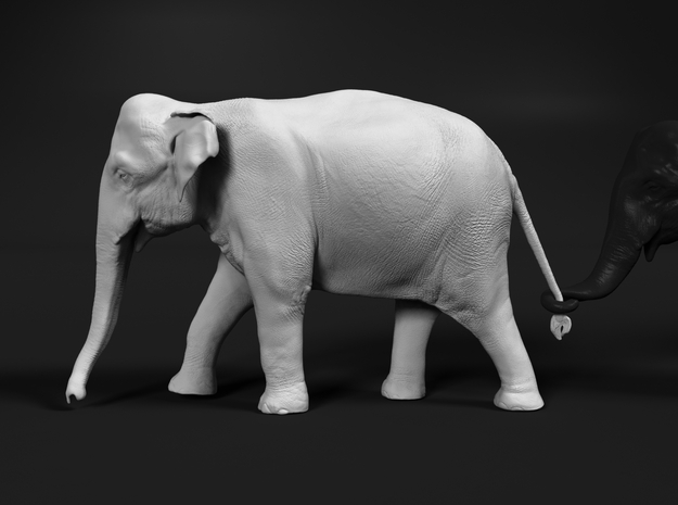Indian Elephant 1:35 Female walking in a line 1 in White Natural Versatile Plastic