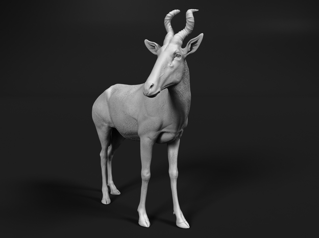 Red Hartebeest 1:15 Standing Male in White Natural Versatile Plastic