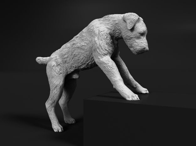 Wire Fox Terrier 1:12 Male with paws on elevation in White Natural Versatile Plastic