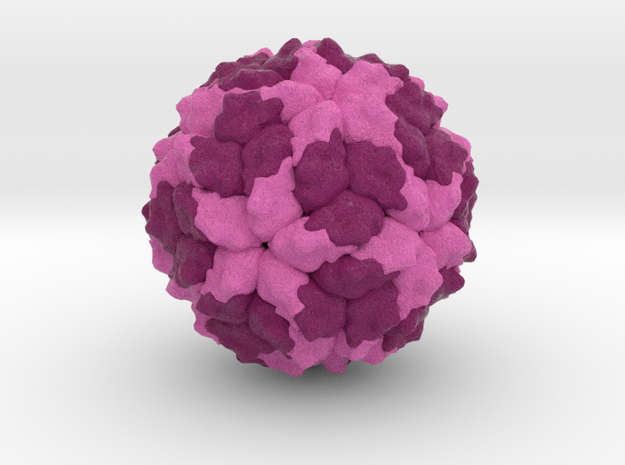 Human Picobirnavirus in Natural Full Color Sandstone