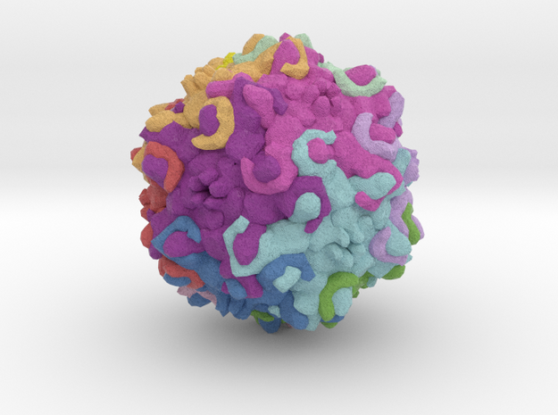 Tusavirus (TuV) in Natural Full Color Sandstone