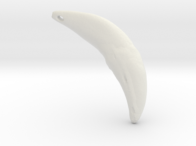 Wolf Fang Pendant (R) 3D-scan composite (DOWNLOAD)