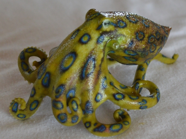 Blue Ringed Octopus in White Natural Versatile Plastic