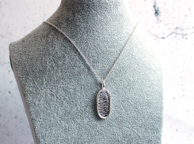 Mitochondrion Pendant in Polished Silver