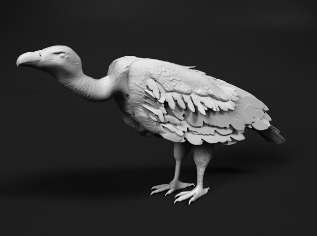 White-Backed Vulture 1:15 Standing 1 in Tan Fine Detail Plastic