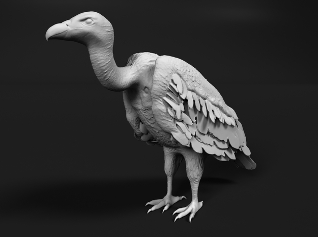 White-Backed Vulture 1:15 Standing 3 in Tan Fine Detail Plastic