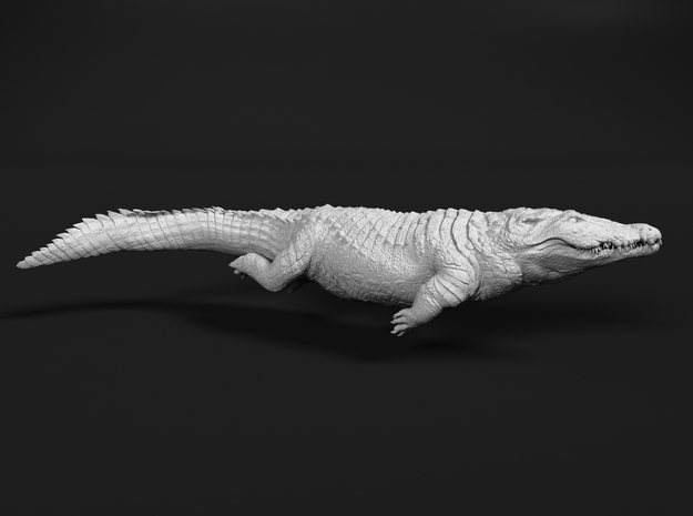 Nile Crocodile 1:20 Swimming in White Natural Versatile Plastic