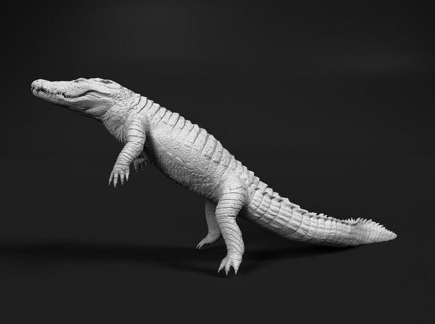 Nile Crocodile 1:35 Lying diagonal in water in White Natural Versatile Plastic