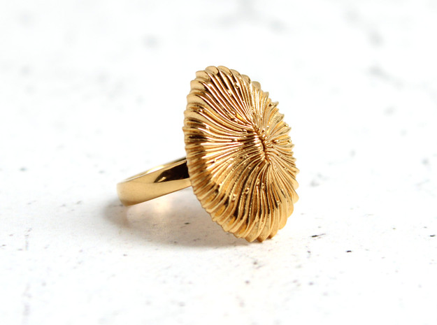 Fungia Coral Ring - Marine Biology Jewelry in 14k Gold Plated Brass: 7 / 54