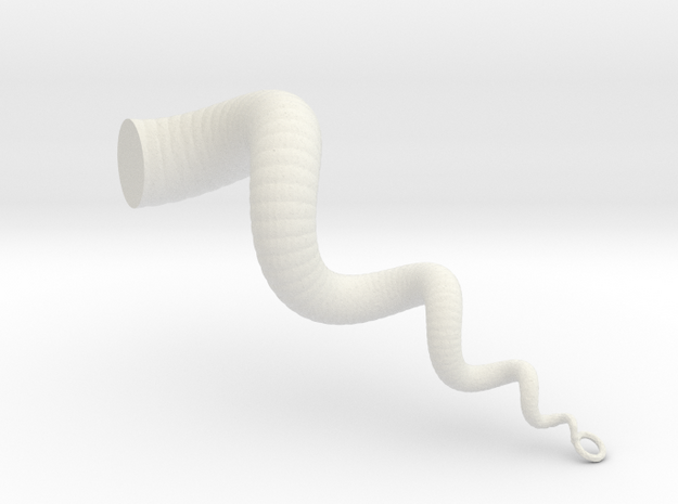 Cockleshell - Snail Mollusc Charm 3D Model  in White Natural Versatile Plastic