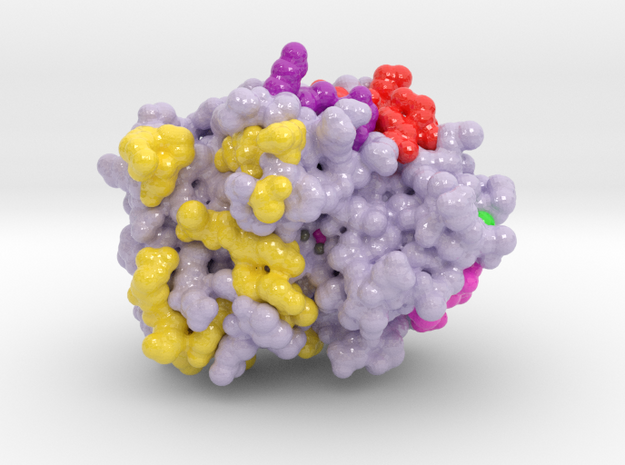 Protein Phosphatase 4MOV in Glossy Full Color Sandstone: Medium