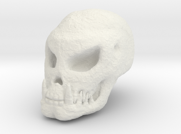 Fossilised Alien Skull 1 in White Natural Versatile Plastic