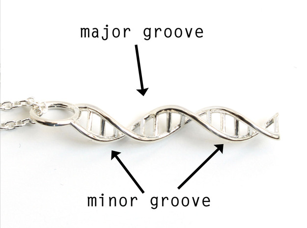 DNA Pendant - Science Jewelry in Polished Silver