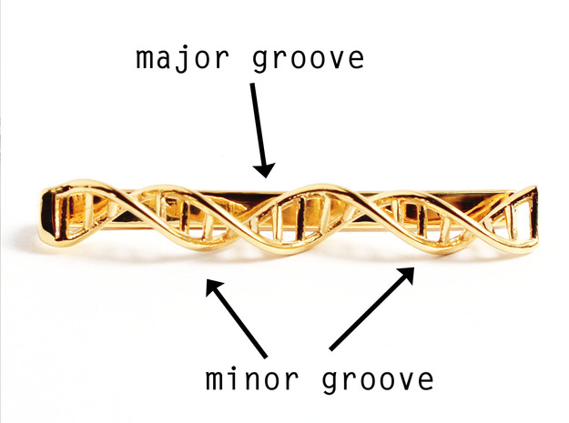 DNA Tie Bar - Science Jewelry in 14k Gold Plated Brass