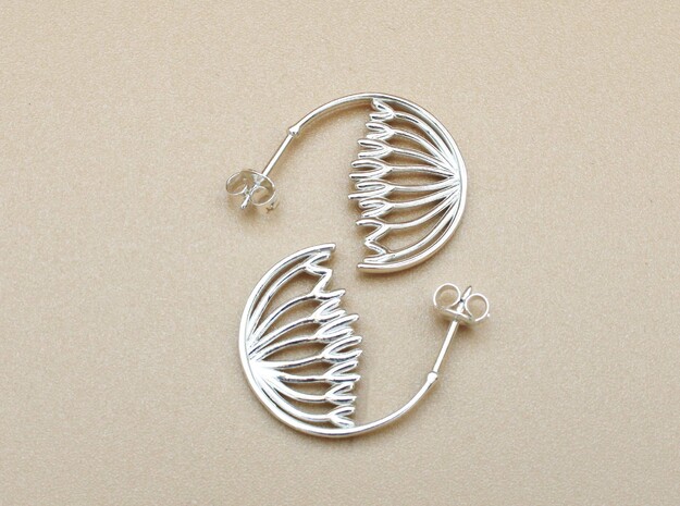 Mitosis Anaphase Hoops - Science Jewelry in Polished Silver