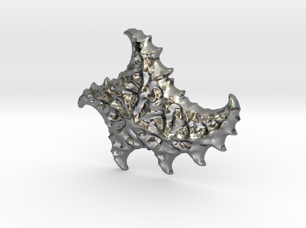 3D Fractal Sea Shell Pendant in Polished Silver