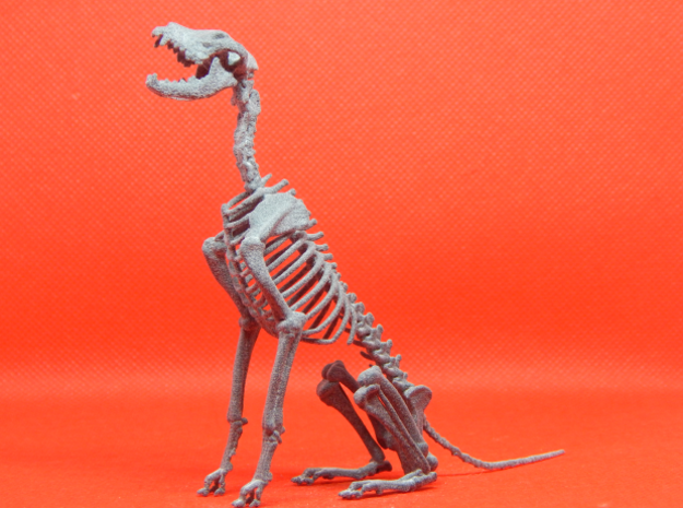 Skeletal Wolf (Sitting) in Gray PA12