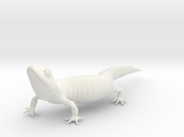 Salamander 10.7cm in White Natural Versatile Plastic