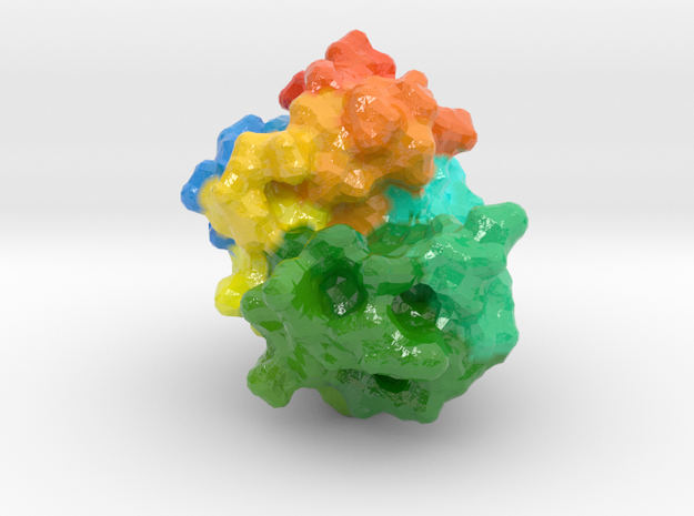 Lysozyme 50 million X - molecular surface in Glossy Full Color Sandstone