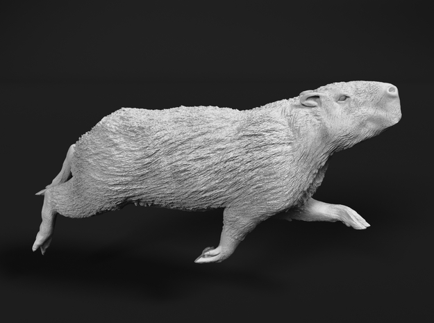 Capybara 1:87 Swimming Male in Tan Fine Detail Plastic