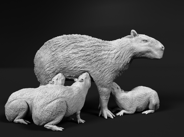 Capybara 1:12 Mother with three young in White Natural Versatile Plastic