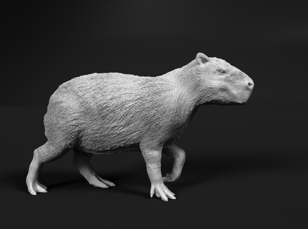 Capybara 1:9 Walking Young in White Natural Versatile Plastic