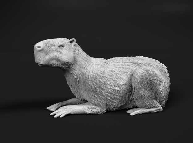 Capybara 1:6 Lying Female in White Natural Versatile Plastic