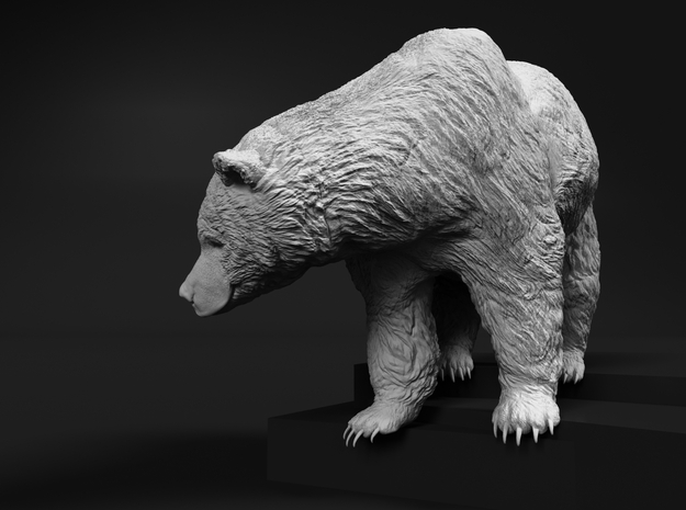 Grizzly Bear 1:9 Female standing in waterfall in White Natural Versatile Plastic
