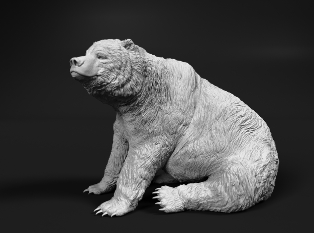 Grizzly Bear 1:9 Sitting Male in White Natural Versatile Plastic