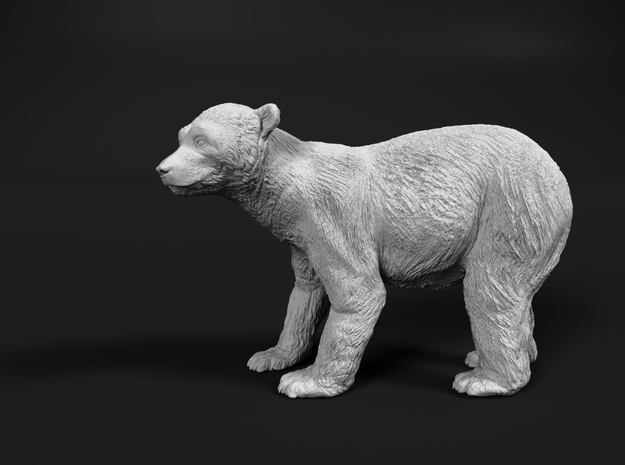 Polar Bear 1:12 Standing Juvenile in White Natural Versatile Plastic