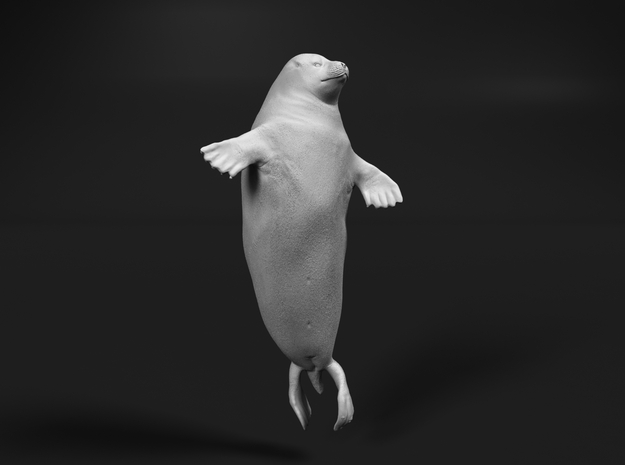 Ringed Seal 1:12 Head above the water in White Natural Versatile Plastic