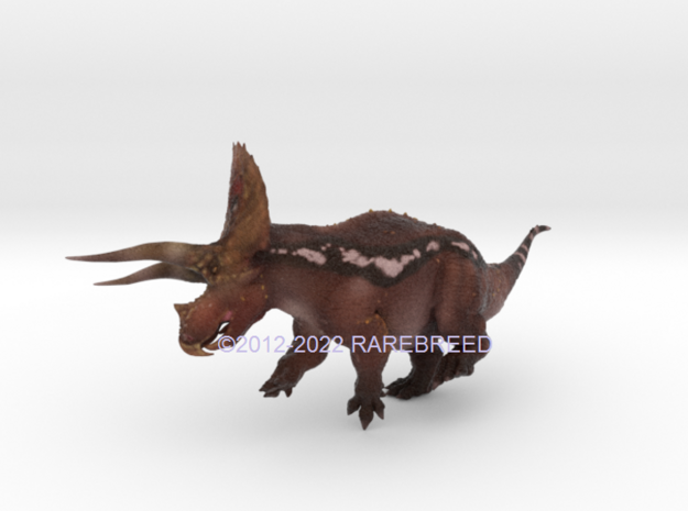 Torosaurus in Gray PA12: Extra Small
