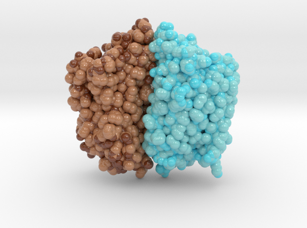 Gloeobacter Rhodopsin 6NWD in Glossy Full Color Sandstone: Medium