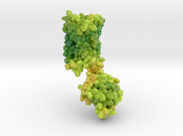 Cannabinoid Receptor in Complex with THC 5XRA in Glossy Full Color Sandstone: Small