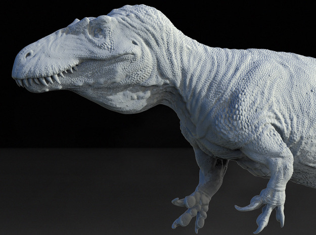 Torovosaurus 1/18 in White Natural Versatile Plastic