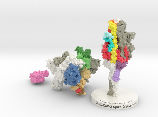 SARS-CoV2 Spike Glycoprotein ACE2 6VXX-6M17 MOA in Glossy Full Color Sandstone: Extra Small