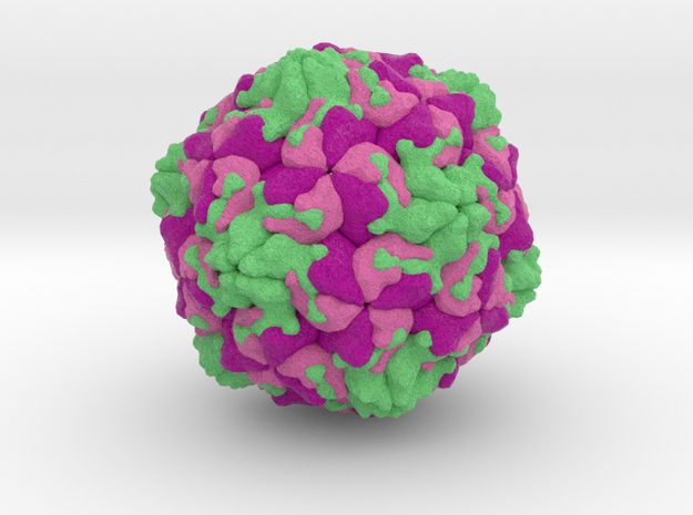 Coxsackievirus in Natural Full Color Sandstone