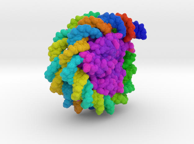 Nucleosome 3C1B vB4 in Matte High Definition Full Color: Extra Small