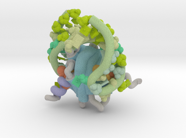 RsmA/CsrA RNA recognition in Matte High Definition Full Color: Small
