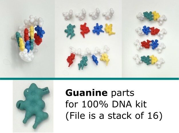 Guanine piece at 100% scale (bundle of 16) in Green Processed Versatile Plastic
