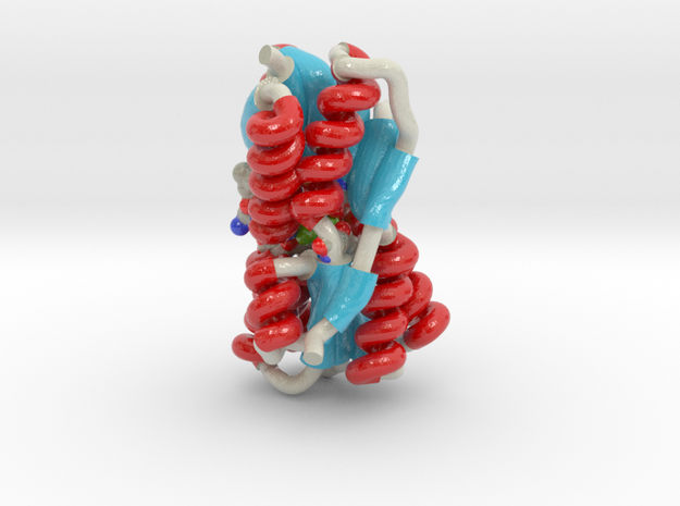 Ribose Binding Protein 2DRI in Smooth Full Color Nylon 12 (MJF): Medium