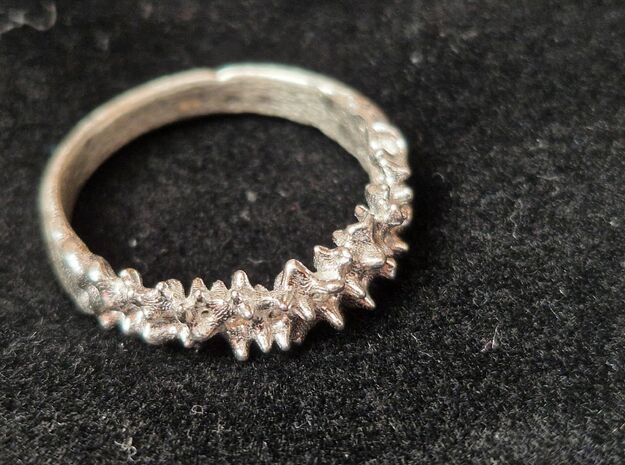 Voron Ring v2.1 (18mm) in Natural Silver