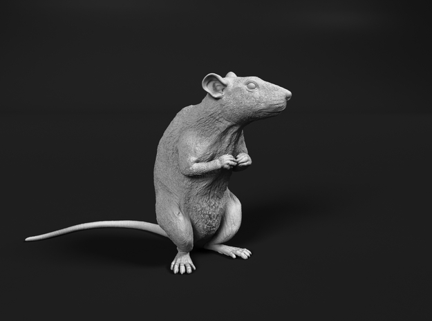 Brown Rat 1:20 Sitting on two legs in Tan Fine Detail Plastic