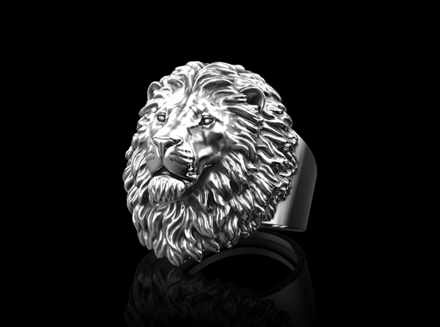 Lion Ring No.5_Mouth Colse_10 1/4 US in Antique Silver