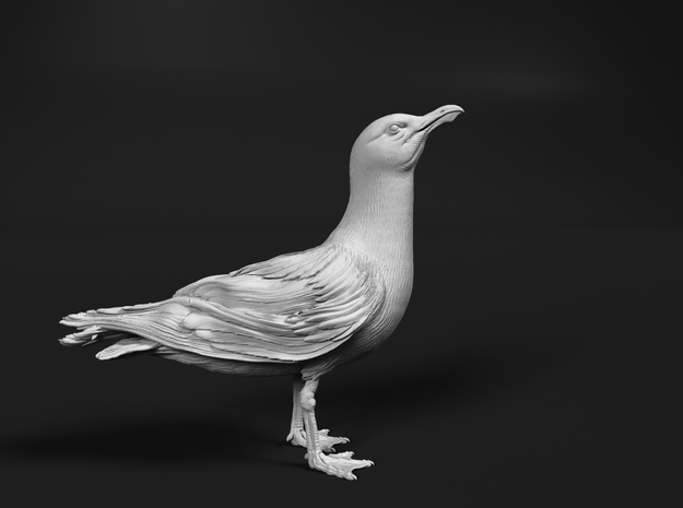 Herring Gull 1:16 Looking up in Tan Fine Detail Plastic